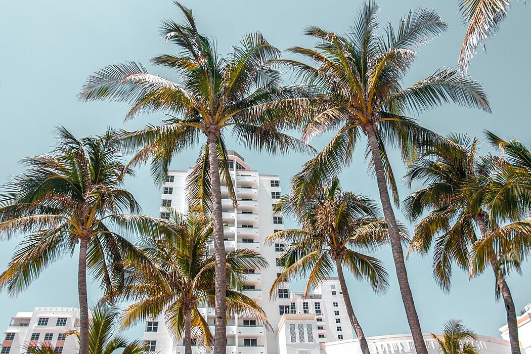 Moving to Miami, FL: A City Guide - 1