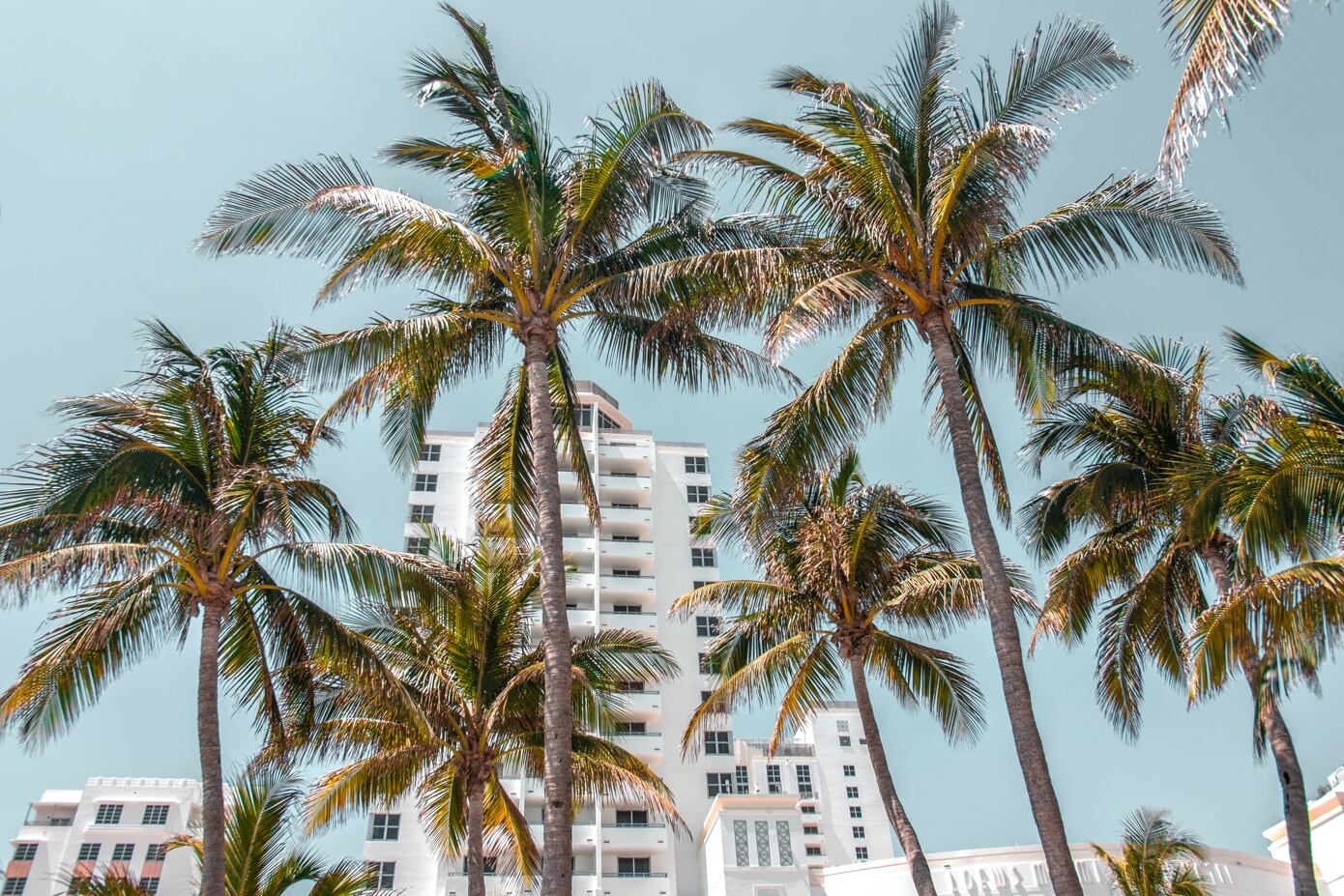 Moving to Miami, FL: A City Guide