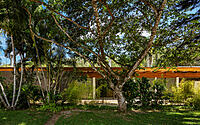 024-cashew-tree-house-terra-capobianco