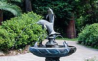 a-tailor-made-guide-to-choosing-the-perfect-water-feature-for-your-yard-002