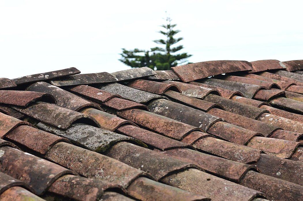 Signs That You Need to Replace Your Asphalt Shingle Roof - 1