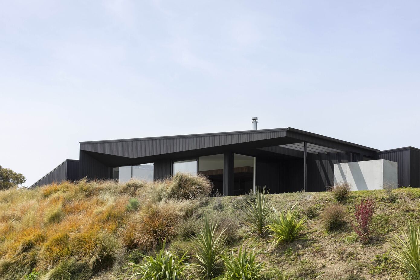 Vineyard House: A Nature-Loving Family’s Dream Home