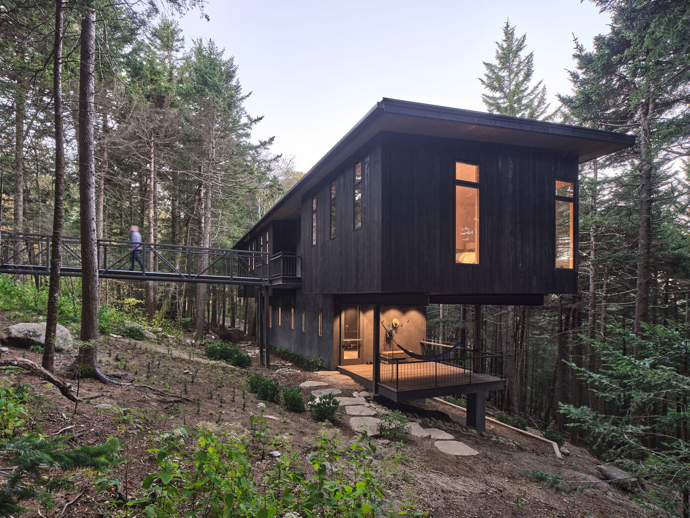 Spruce Ridge Cabin: Eco-Luxury Hidden in a Red Spruce Forest