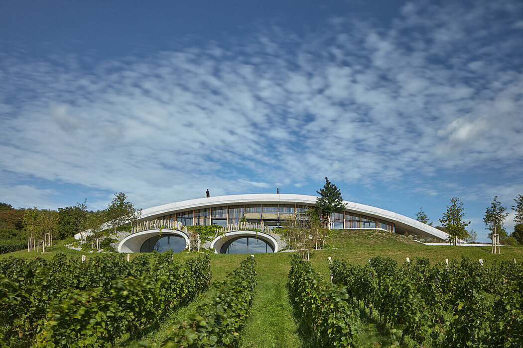 Gurdau Winery: Aleš Fiala’s Concrete Marvel in the Czech Wine Country - 1