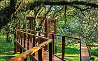 004-treehouse-brazilian-wilderness-meets-modern-luxury