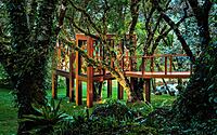 010-treehouse-brazilian-wilderness-meets-modern-luxury