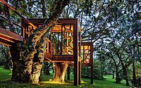 015-treehouse-brazilian-wilderness-meets-modern-luxury