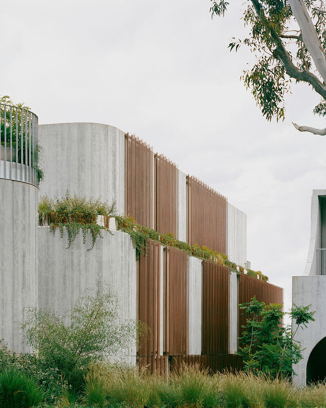 Fenwick St: A Concrete House in Melbourne that Merges with the Landscape - 1