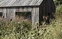 014-barn-office-living-harmony-nature