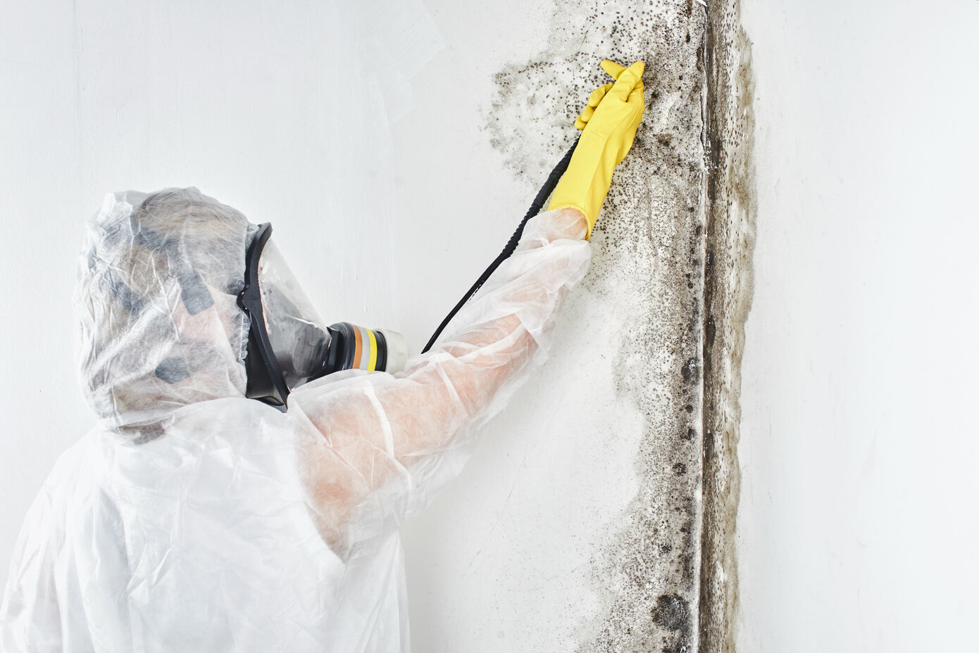 7 Mold Prevention Tips For Your Household