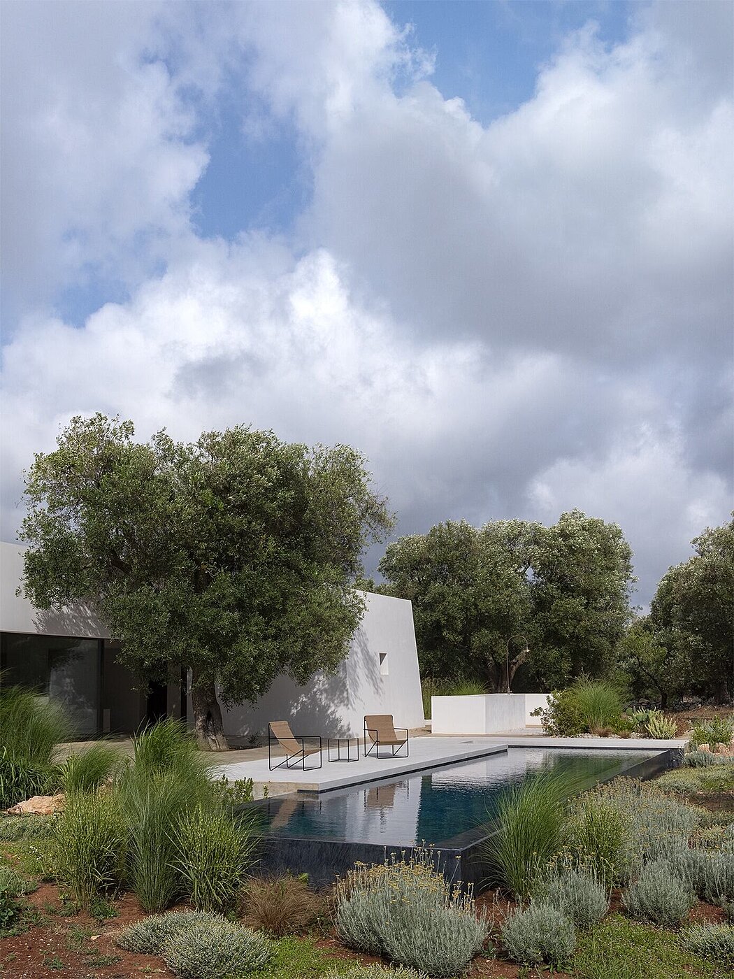 A House in the Green: Sustainable Elegance in Carovigno’s Landscape - 1