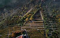 004-fibonacci-reviving-pragues-historic-jabloka-winery-marco-maio