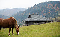 003-krasnyk-cosy-carpathian-retreat-unveiled