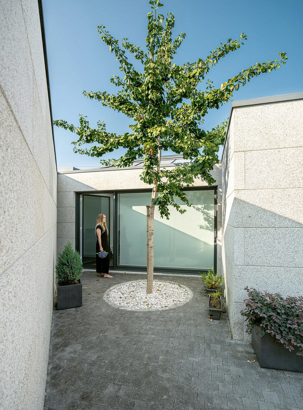 Modern courtyard with a single tree, pavers, and a woman standing by glass
