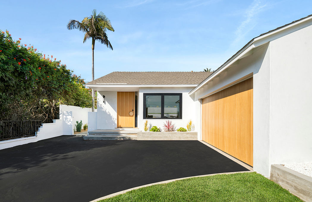 Modern house with white walls, a wooden garage door, and a palm tree.