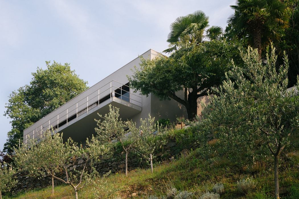 Modern hillside house with large windows surrounded by greenery.