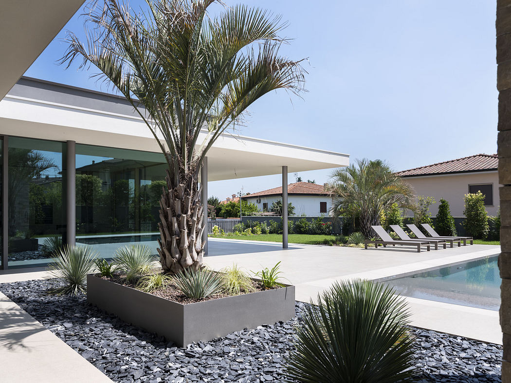 Modern house exterior with pool, palm trees, and lounge chairs.