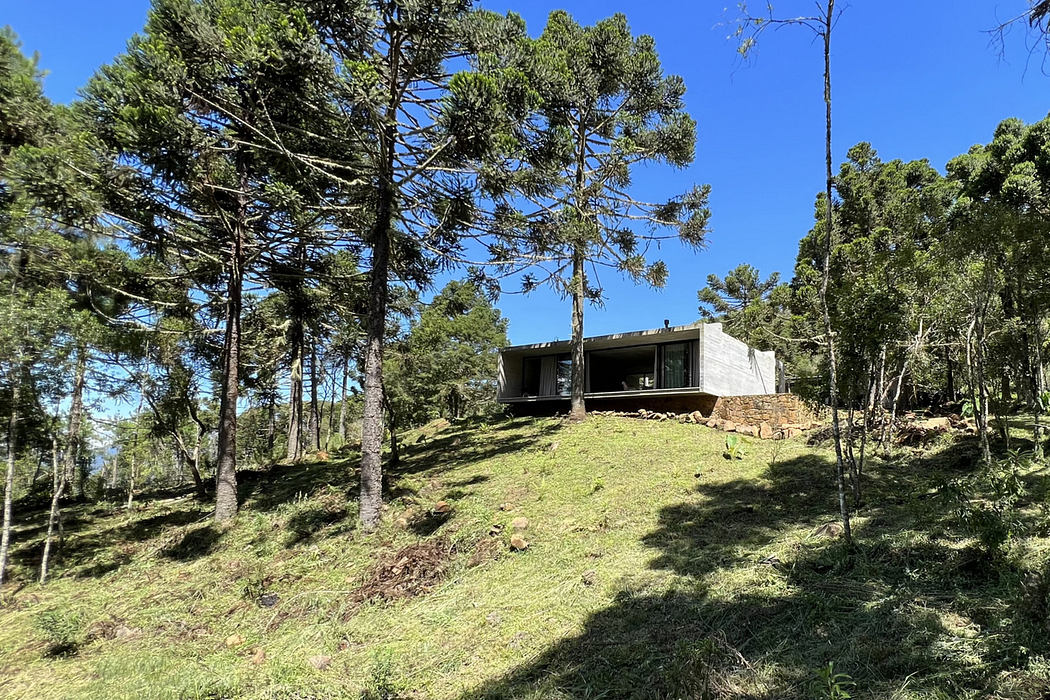Modern house with large windows nestled among hillside trees.