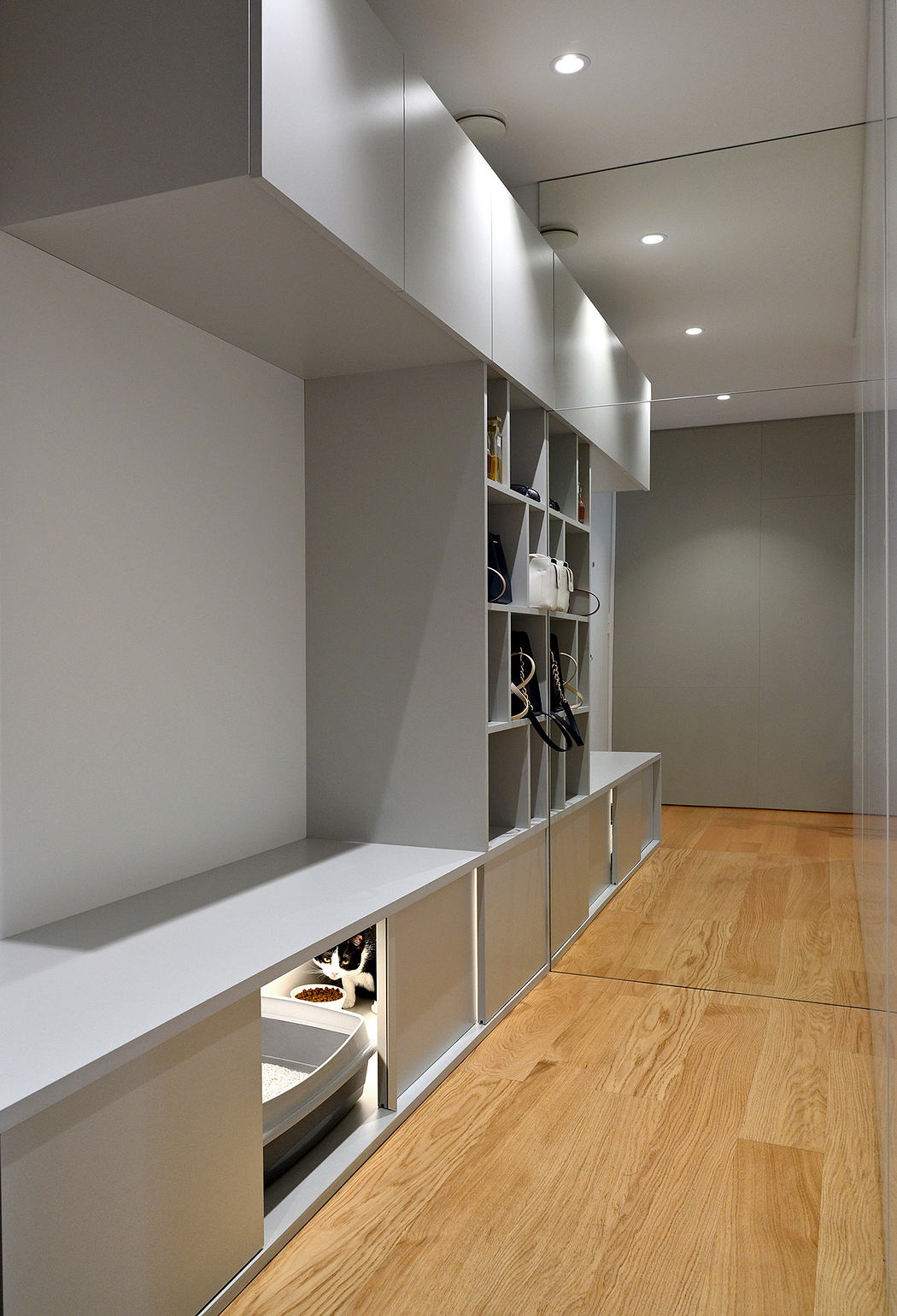 Modern hallway with sleek white cabinetry and wooden flooring.