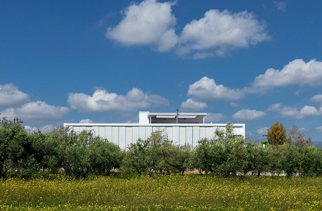 Modern white building surrounded by olive trees under blue sky.
