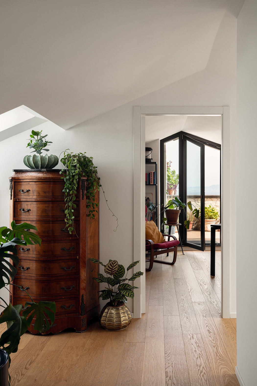 Modern interior corridor with wooden floors and potted plants.
