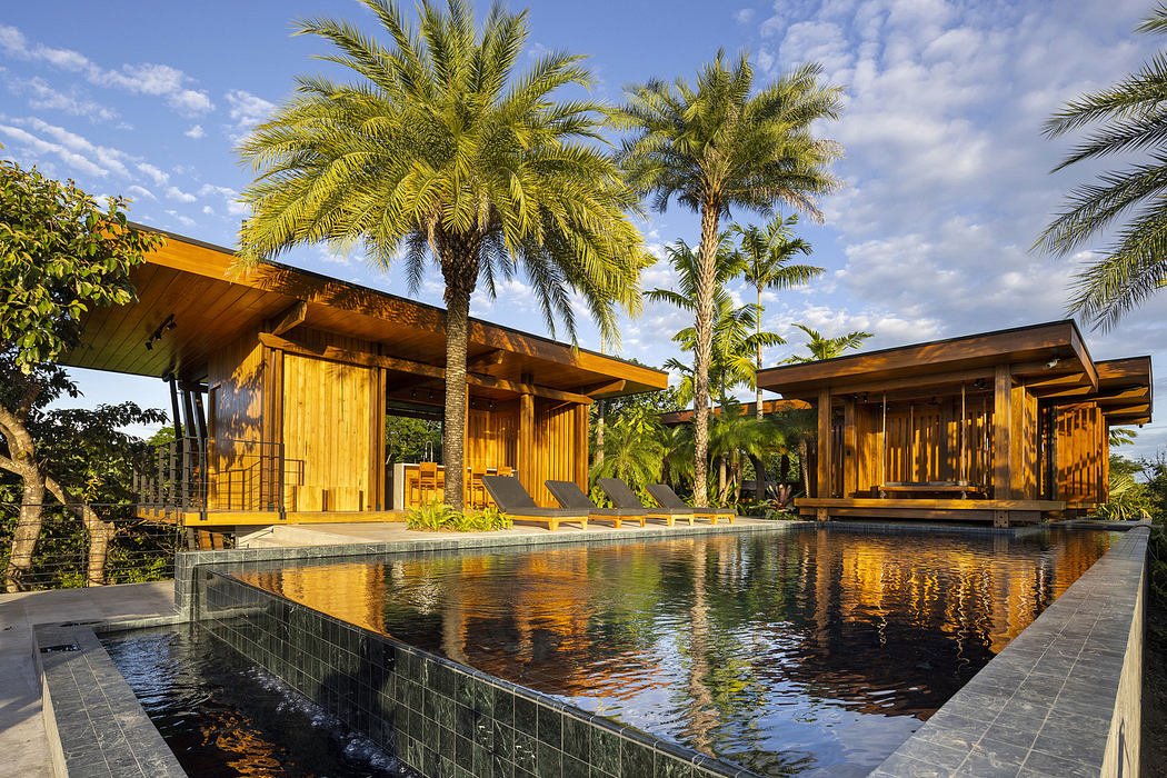 Modern wooden house with overhanging roof beside an infinity pool surrounded by palm trees