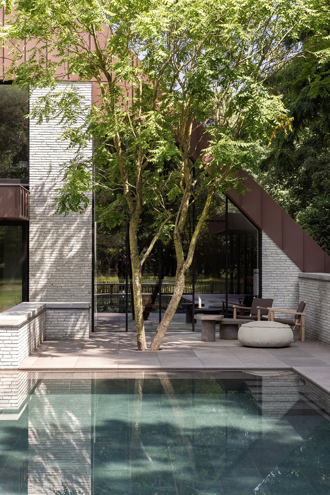 Modern house exterior with pool, patio, and tree.