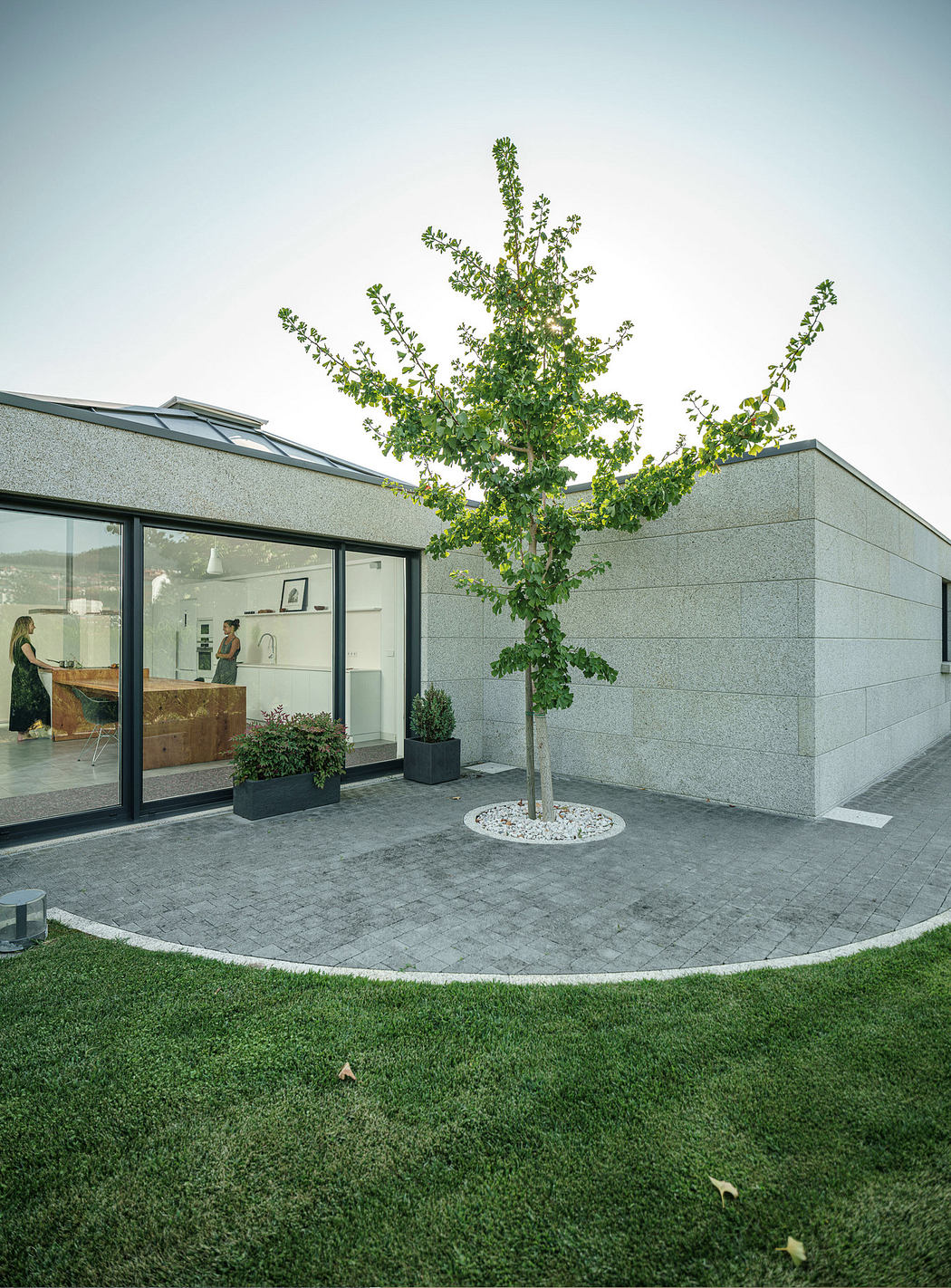 Modern house exterior with glass wall, green lawn, and young tree.