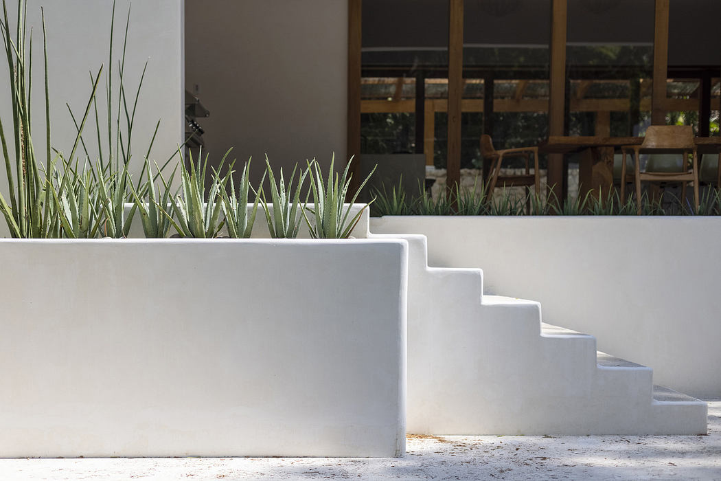 Modern white stepped planters with greenery in front of a glass facade.