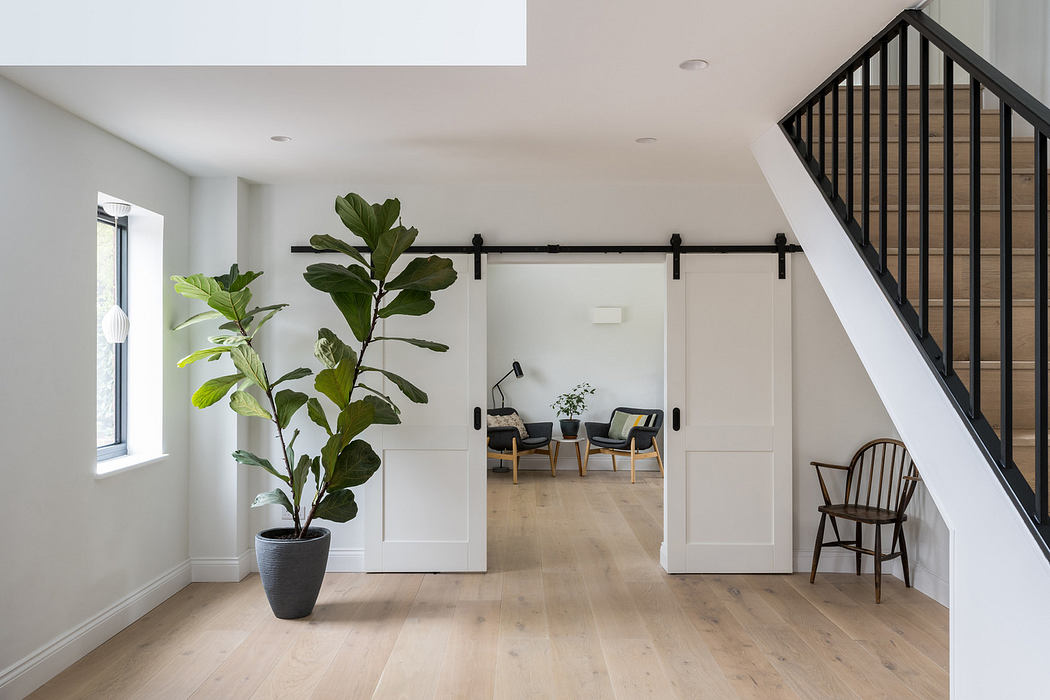 Minimalistic interior with white walls, wooden floors, and a large potted plant