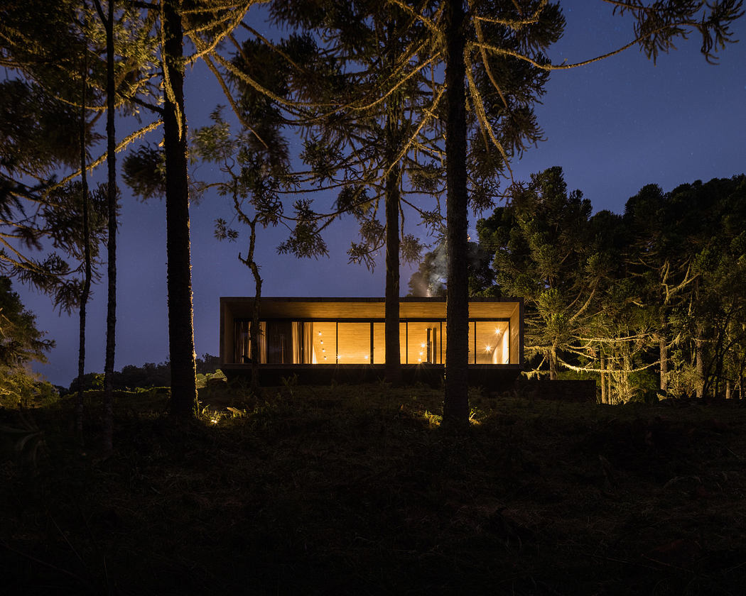 Modern house with lit interior nestled among pine trees at night.