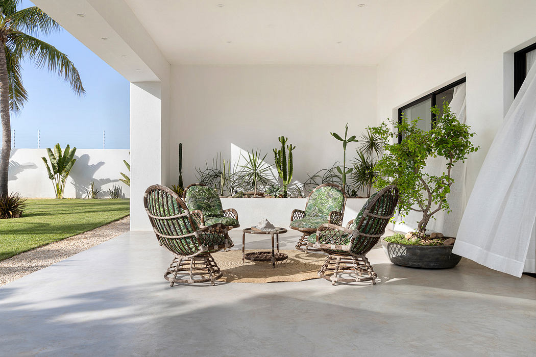 Modern patio with wicker chairs and tropical plants.