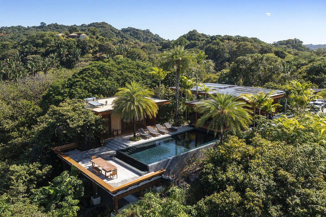 Modern house with pool surrounded by tropical forest.