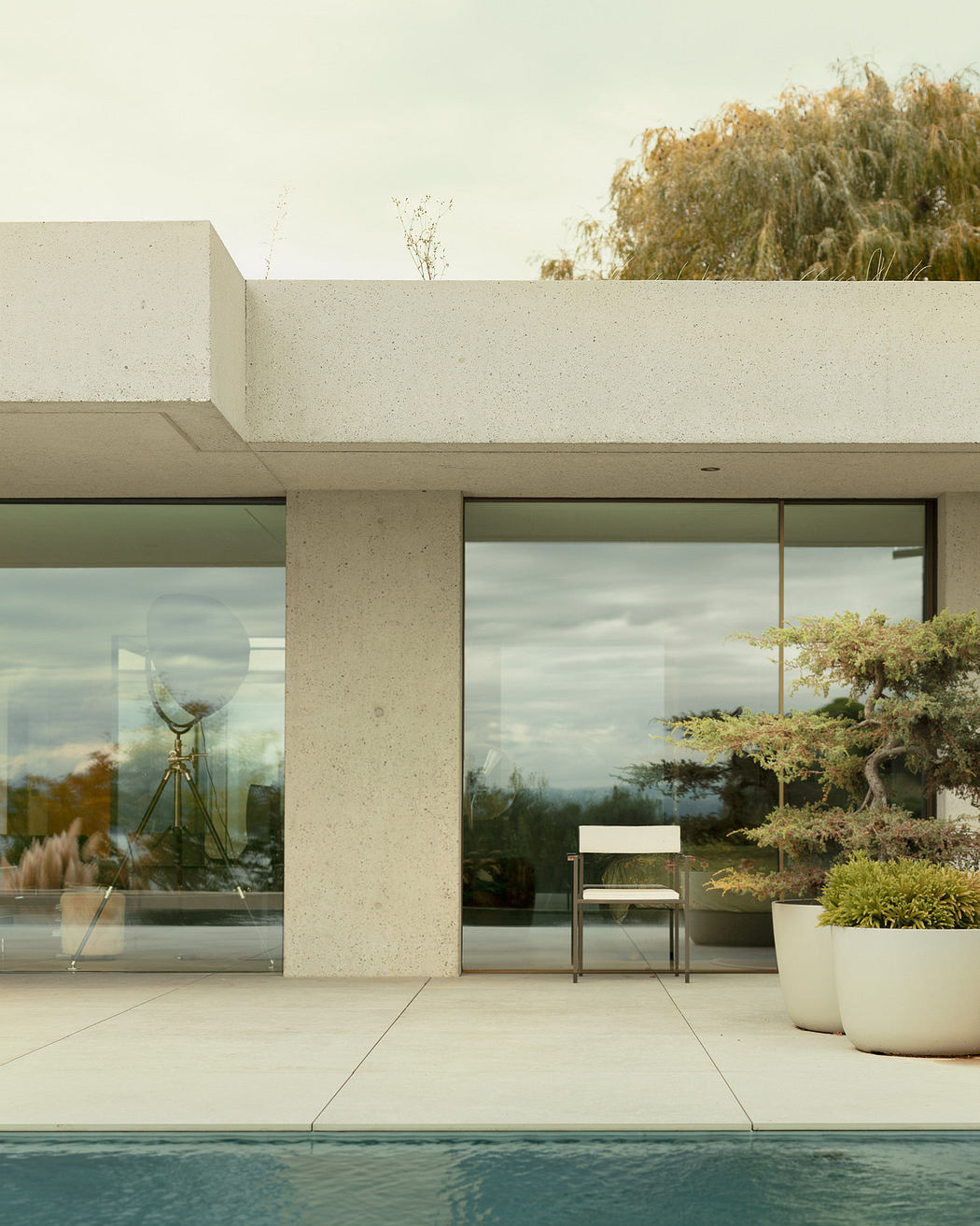 Modern house exterior with poolside terrace, glass walls, and a bonsai tree