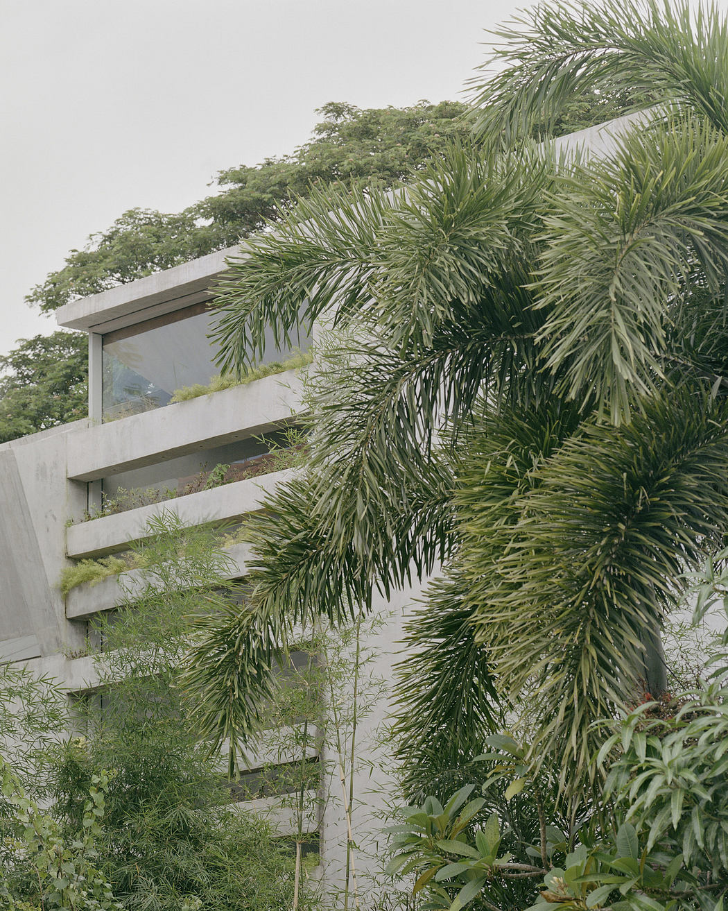 Modern concrete building with lush greenery.