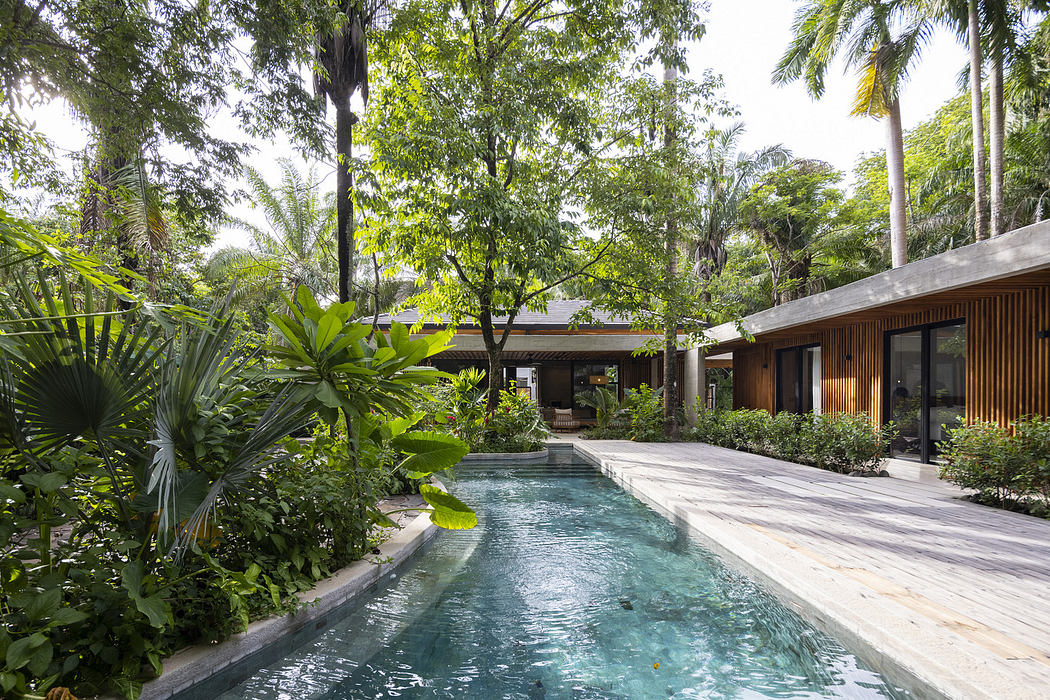 Modern tropical villa with a swimming pool surrounded by lush greenery.
