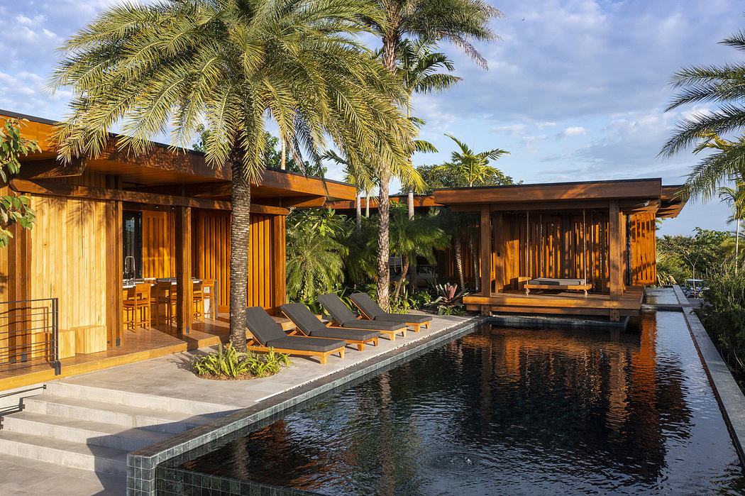 Luxurious wooden tropical resort with an infinity pool and loungers surrounded by palm trees