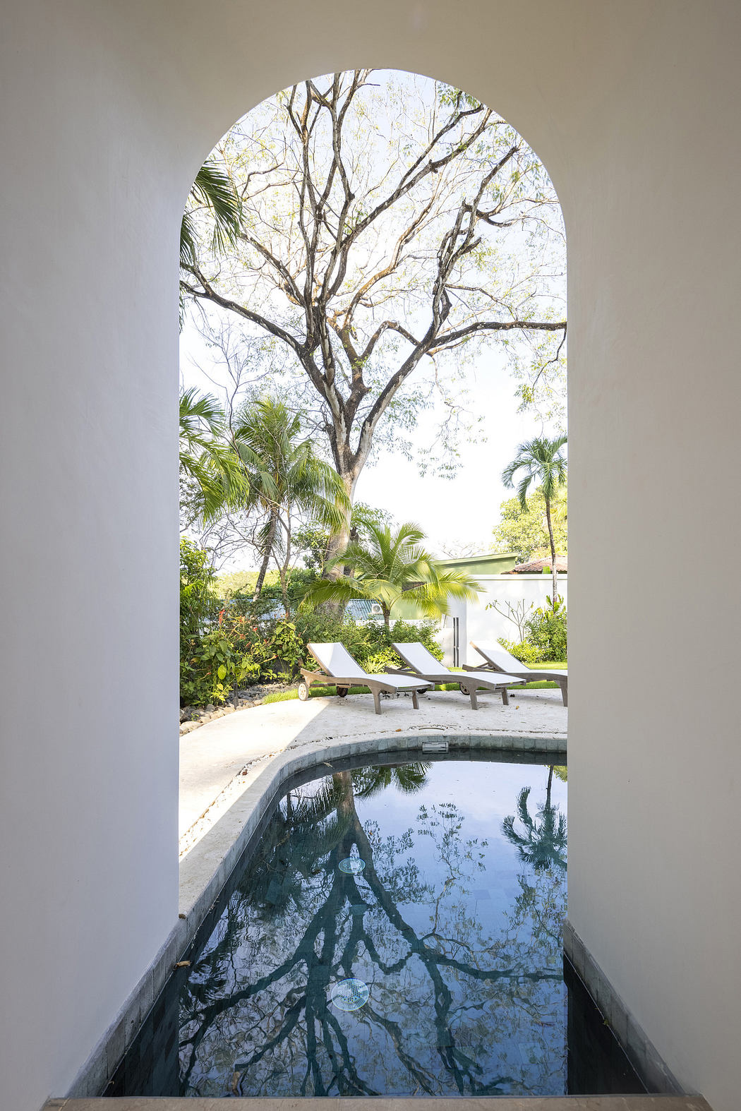 Arched doorway framing an outdoor pool with a sun lounger and large tree in