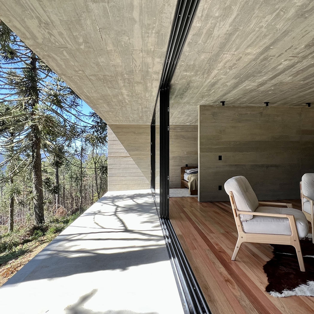 Minimalist interior with large windows overlooking a forest.