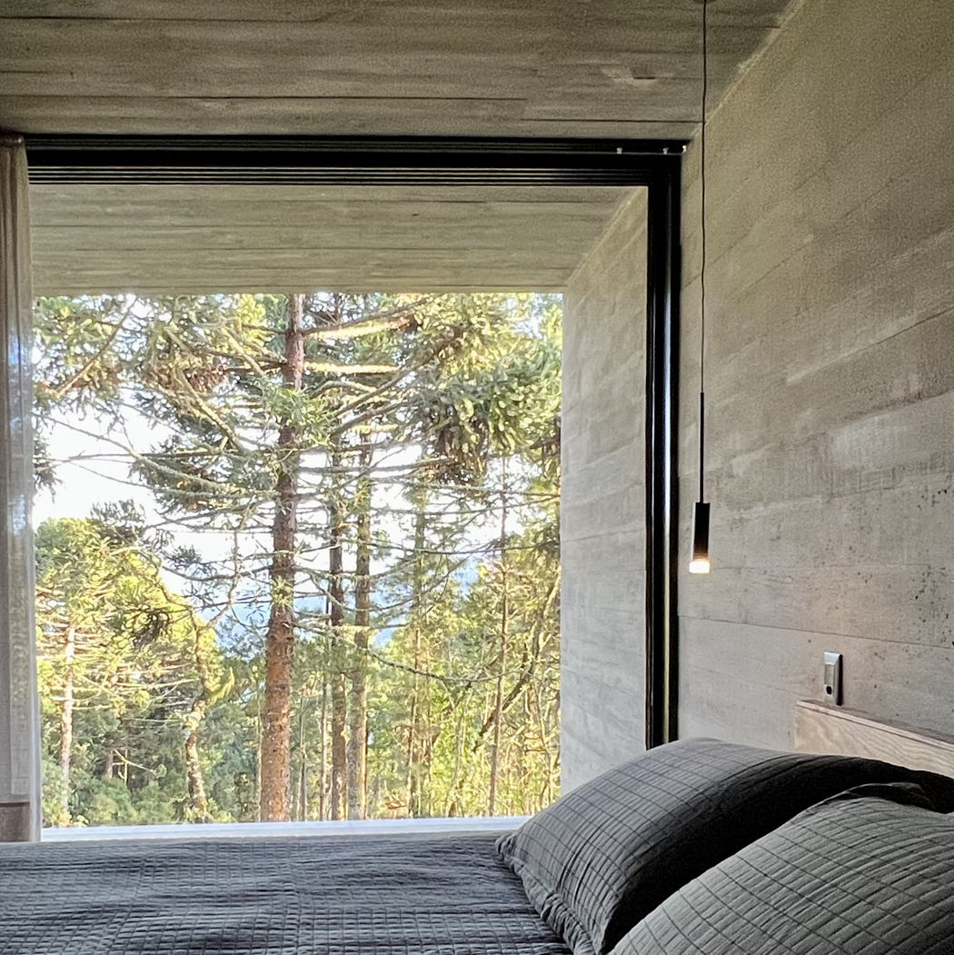 Minimalist bedroom with concrete walls and forest view through large window.