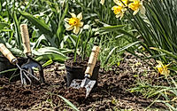 Planting flowers in the garden, garden tools, flowers