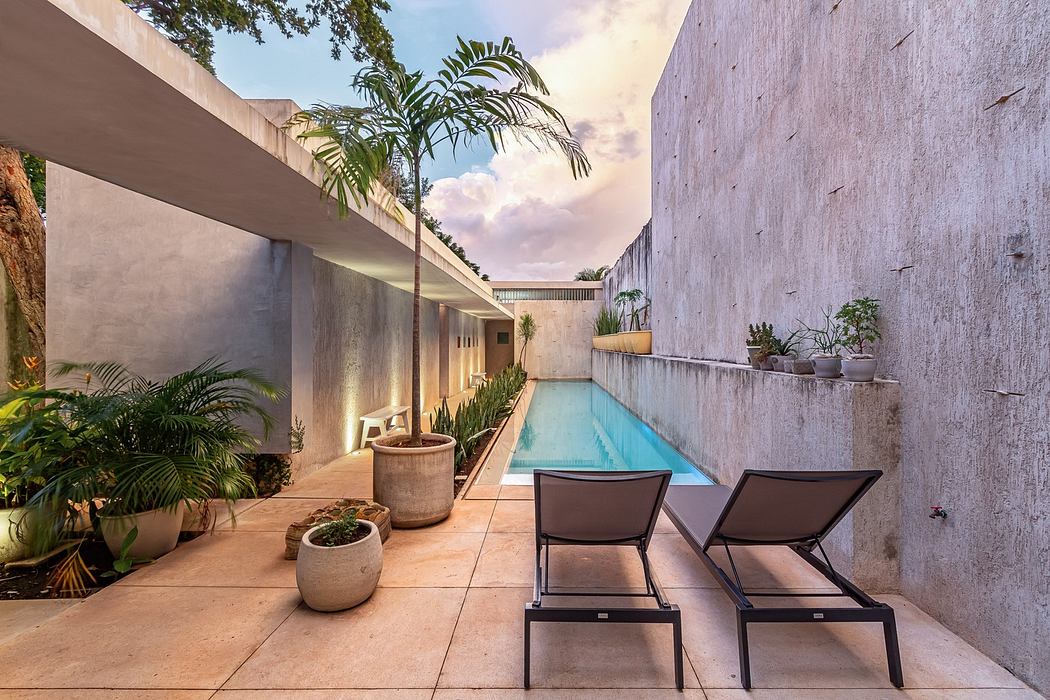 Sleek outdoor pool area with lounge chairs and tropical plants.