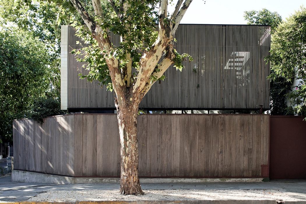 Contemporary wooden facade building with a prominent tree in front.