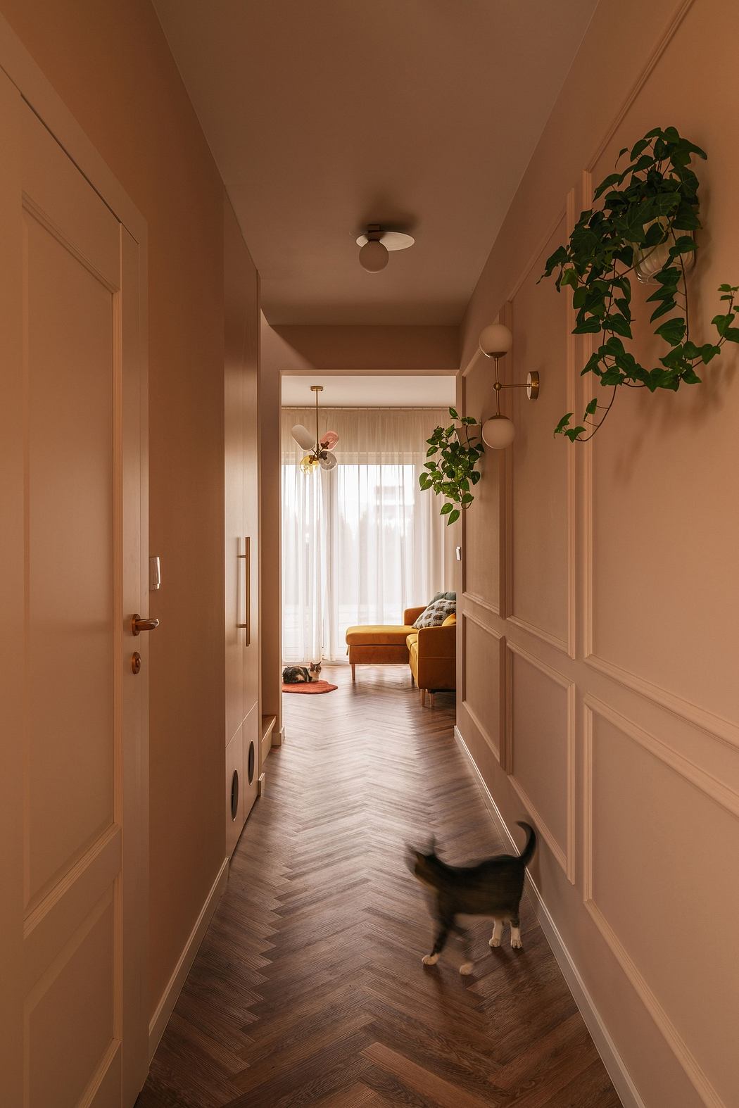 Warm-toned hallway with hardwood floors, plants, and a cat walking.