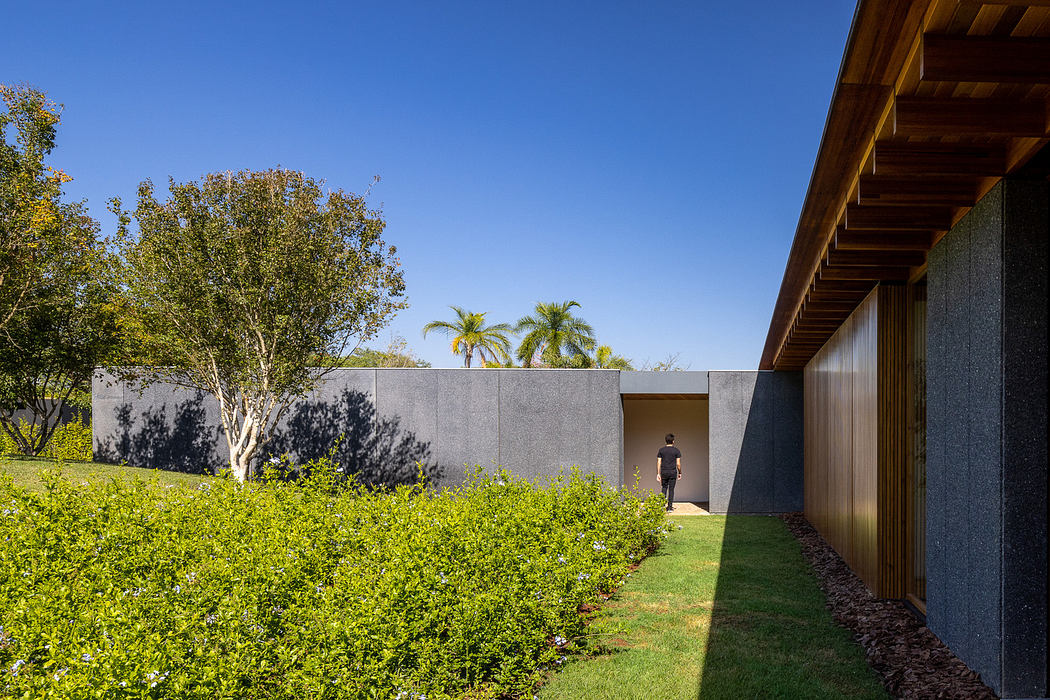 Contemporary walkway with concrete walls, wood paneling, and lush shrub