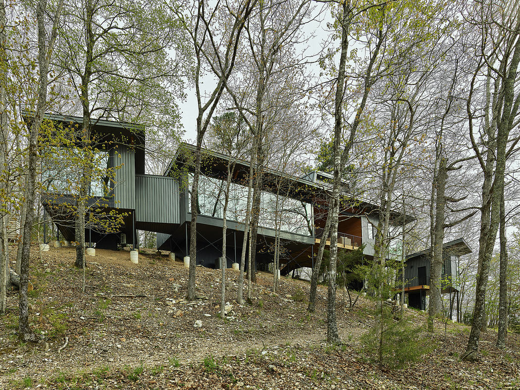 Modern house with large glass windows nestled among leafless trees on a hill.