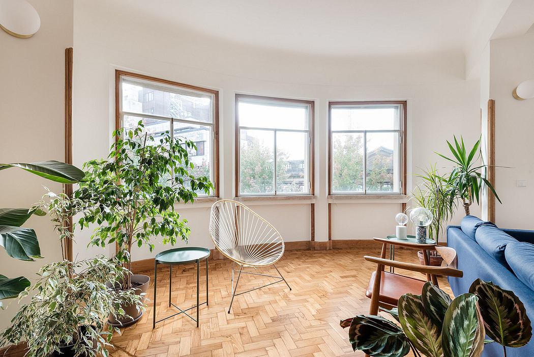 Bright living room with large windows, hardwood floors, and green plants.