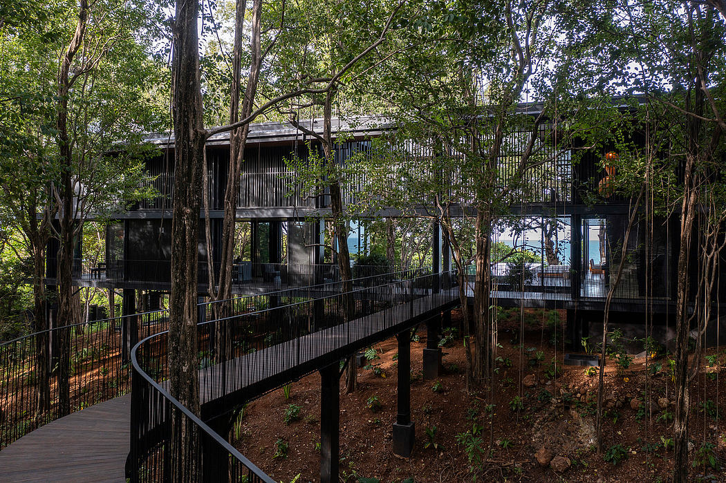 Contemporary treehouse-style home with winding walkway amidst foliage.