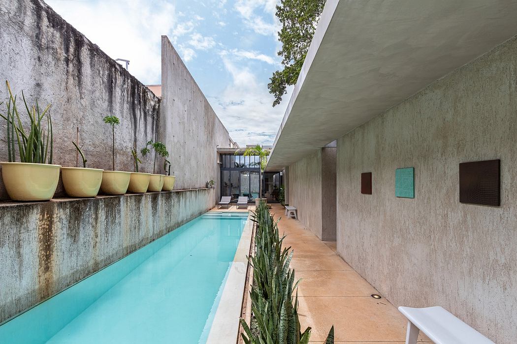 Narrow pool flanked by concrete walls and potted plants.