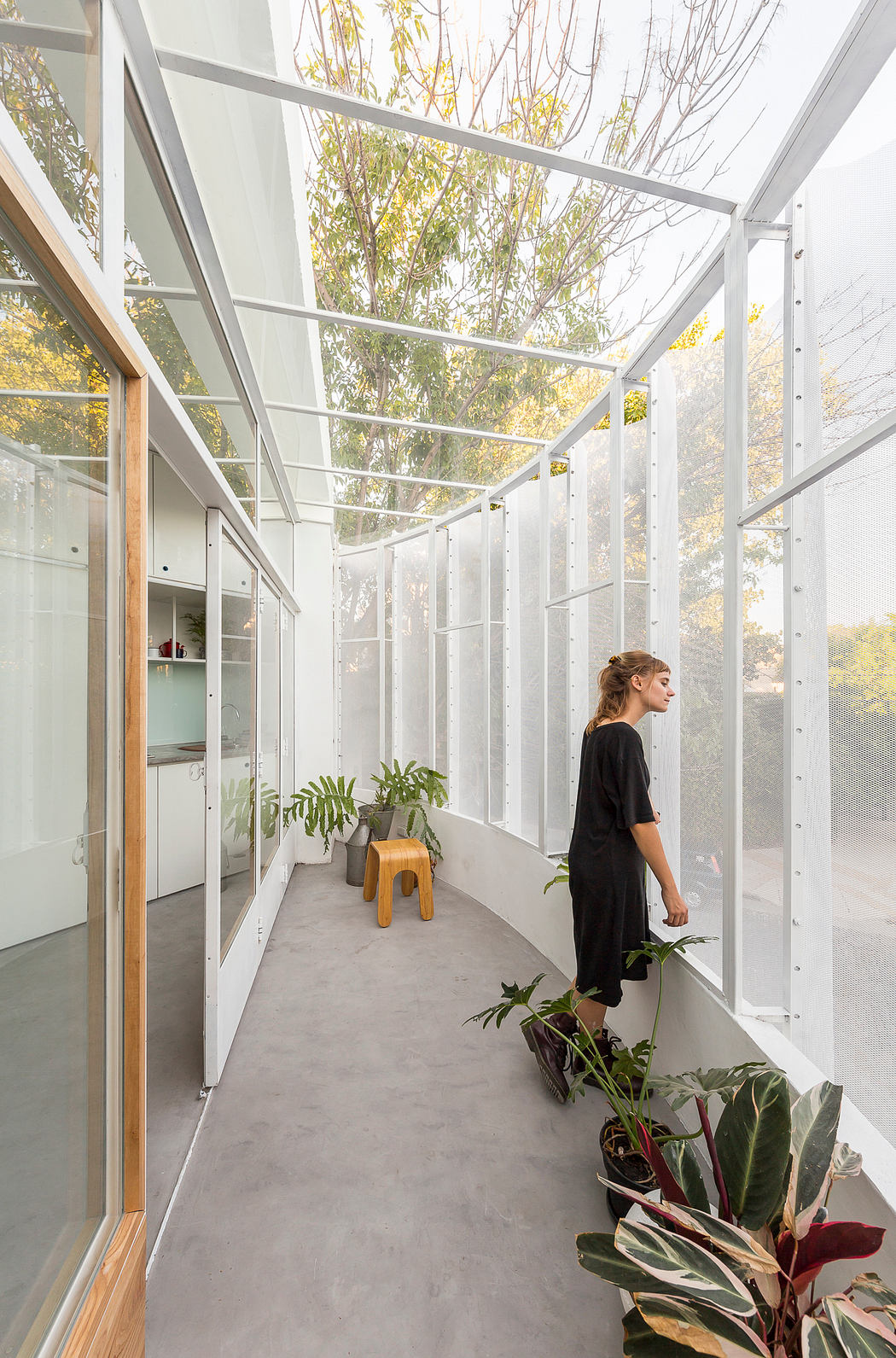 A woman standing in a modern glass corridor with plants and a wooden stool.